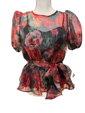 Blashe Sheer Floral Organza Puff Sleeve Blouse. Size S